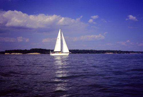  Bureau for this picture of the "Leesylvania Sailboat in Water