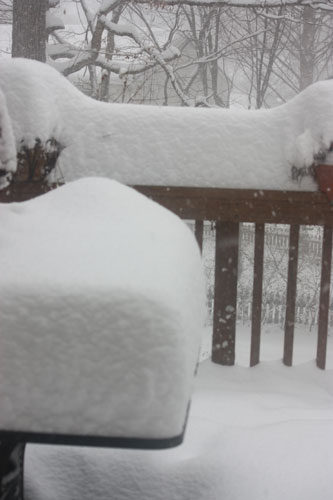 snow covered deck